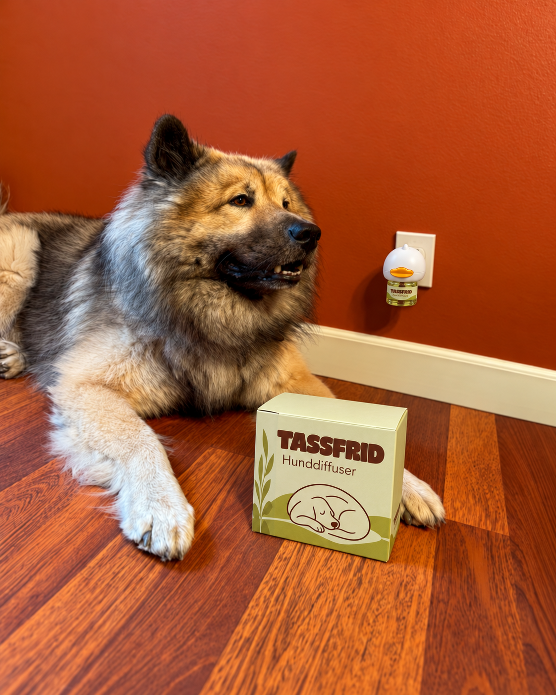 Stor fluffig hund vilar framför orange vägg bredvid Tassfrid-förpackningen