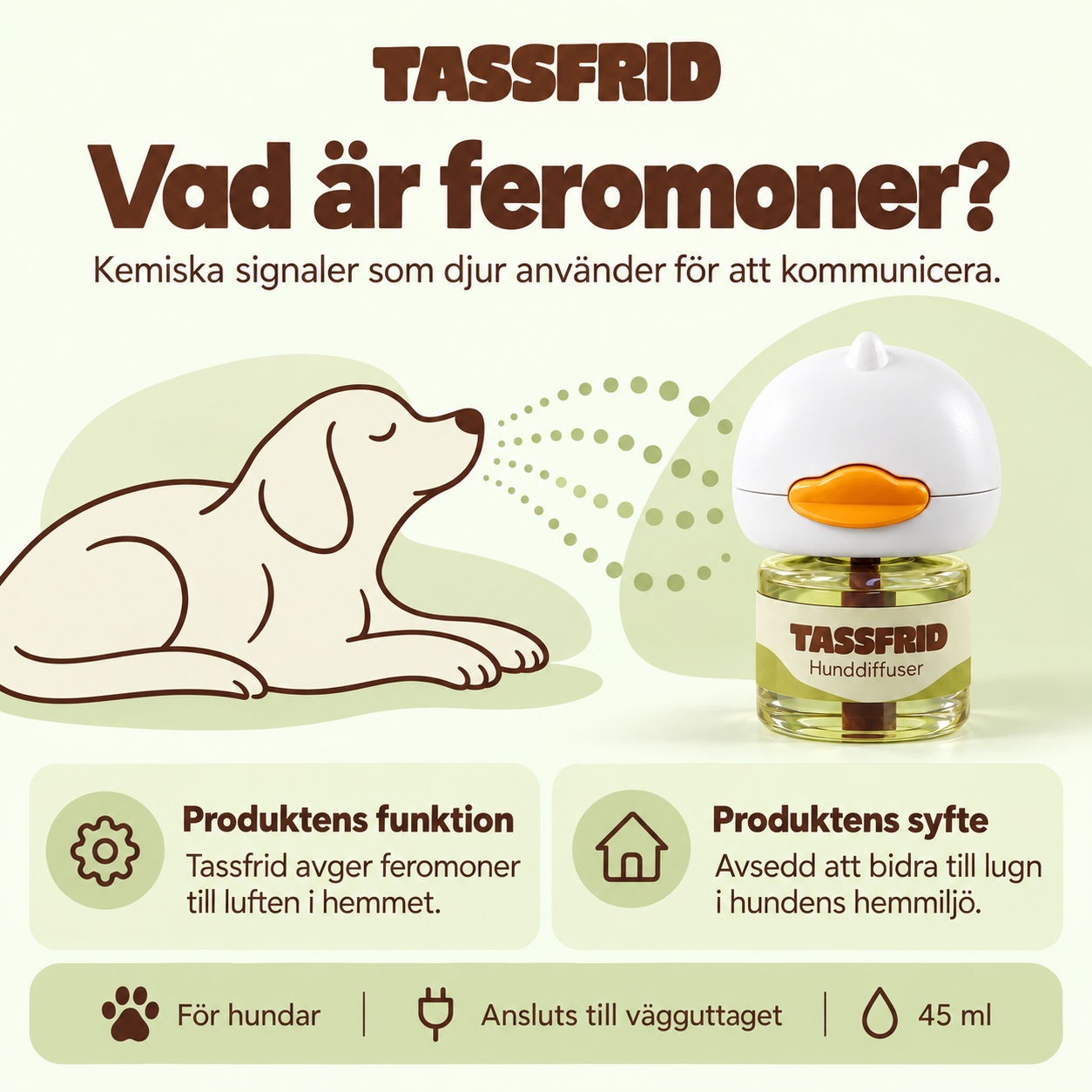 Vad är feromoner? Förklarande bild från Tassfrid