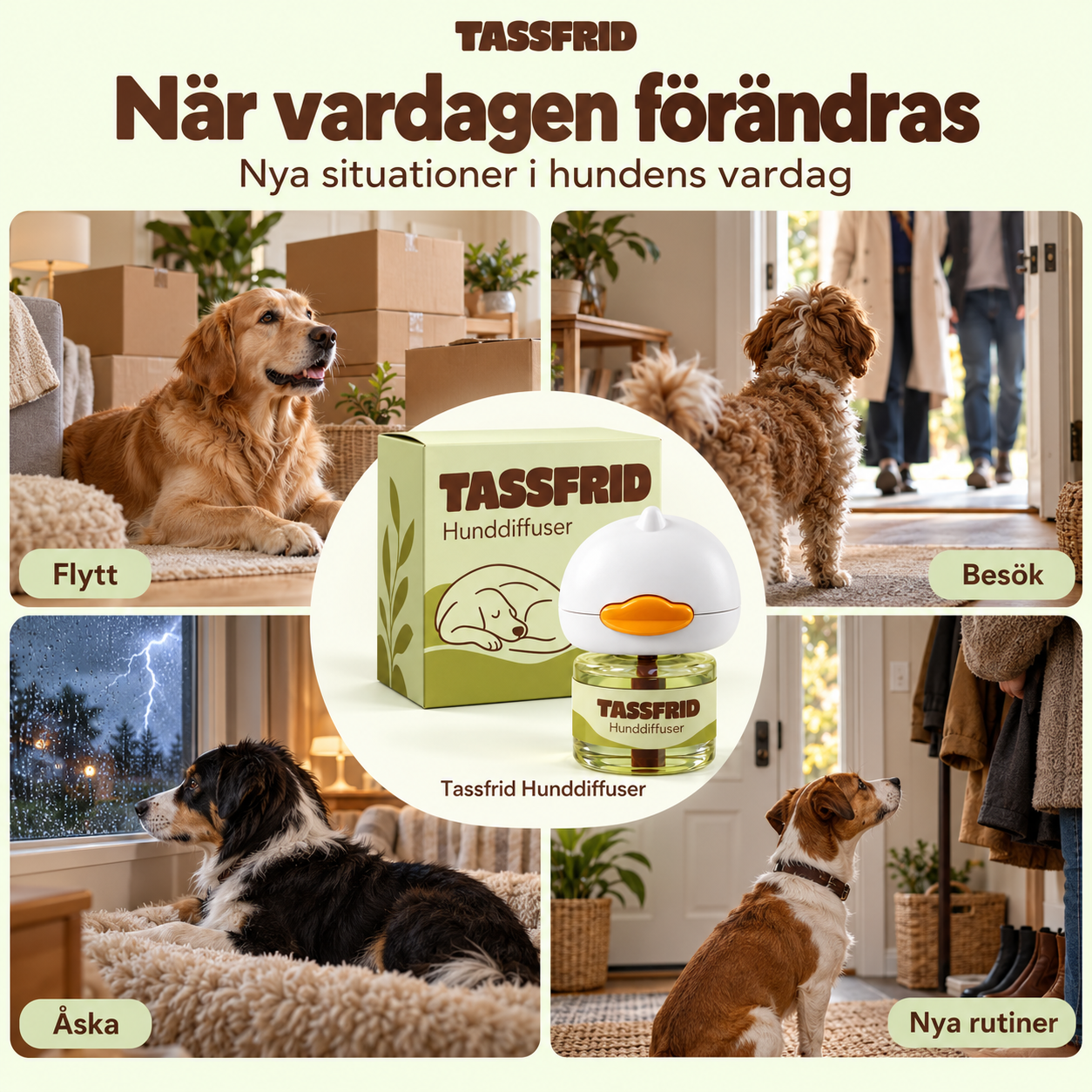 Collage: När vardagen förändras